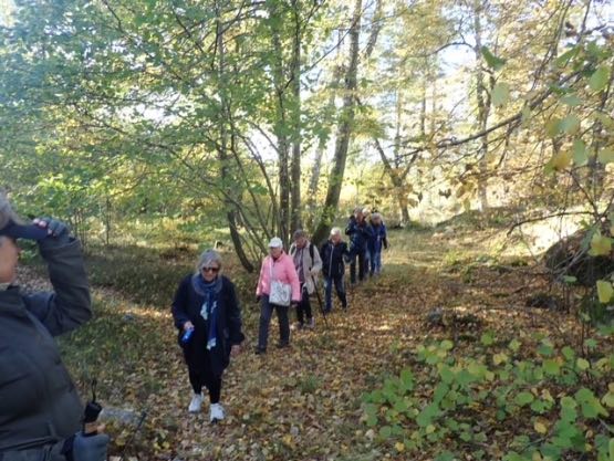 Vandrare på led genom den vackra skogen